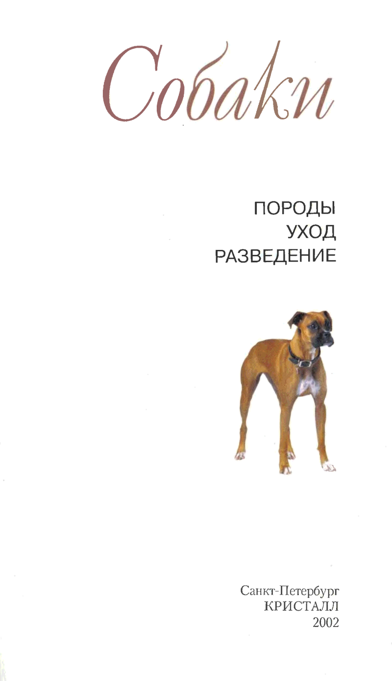 Мини атлас собаки