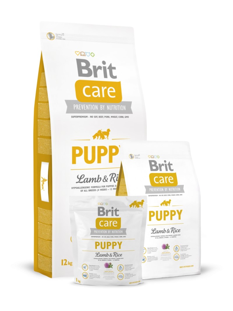 Brit Care Salmon&Potato Junior large Breed для щенков беззерновой 12 кг
