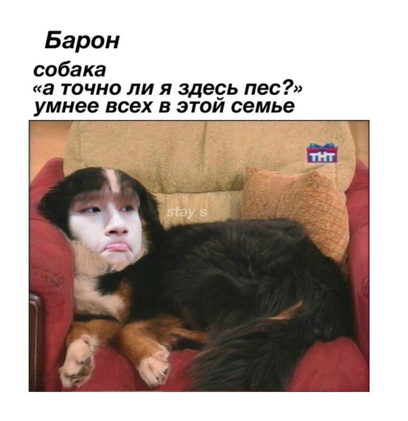 Барон счастливы вместе