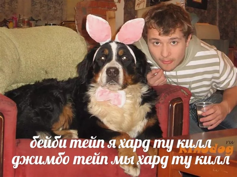 Пес Барон из счастливы вместе