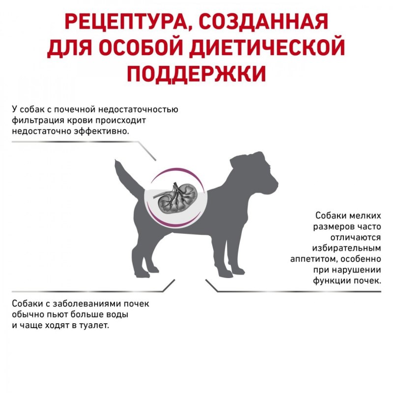 При почечной недостаточности собака