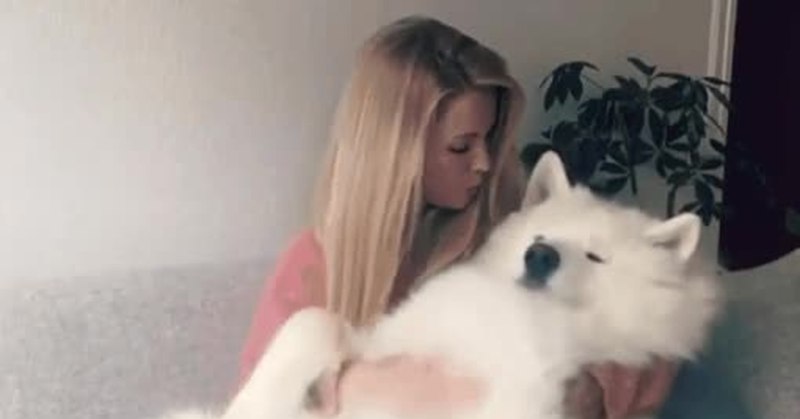 Husky MS