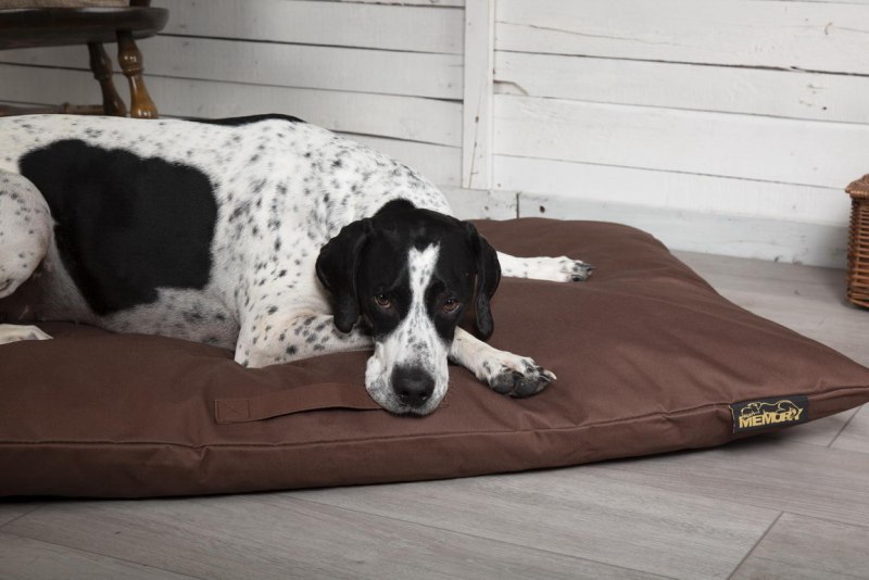 Лежак для собак Scruffs Highland Mattress l 100х70 см