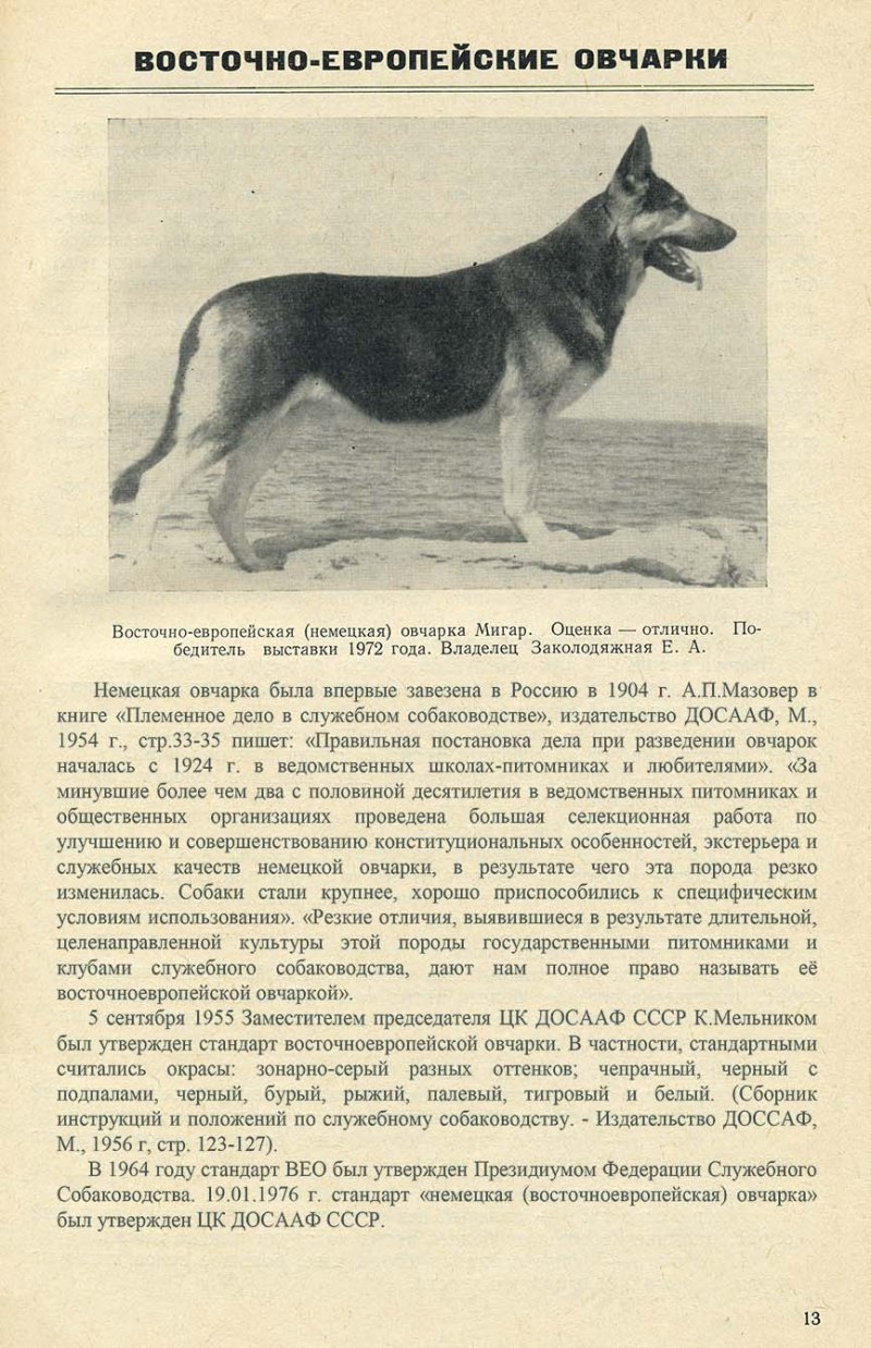 Восточно-европейская овчарка стандарт породы