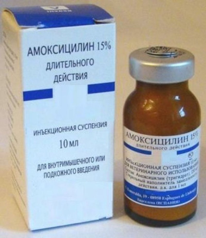 Амоксициллин суспензия для уколов