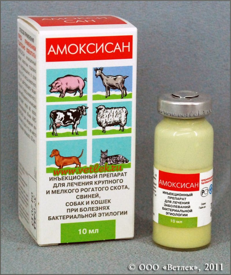 Ветеринарный препарат Амоксисан