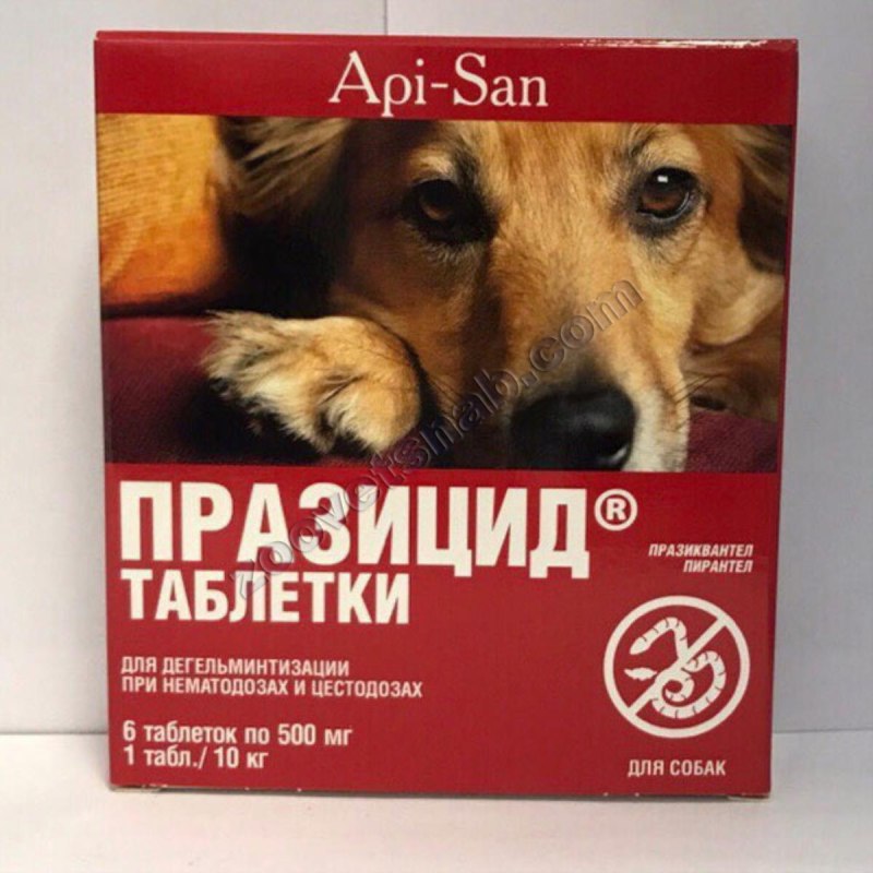 Празицид таблетки