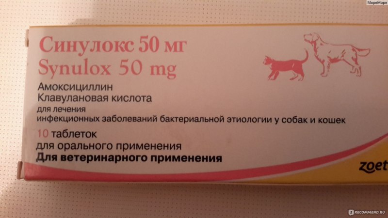 Антибиотик для котов синулокс