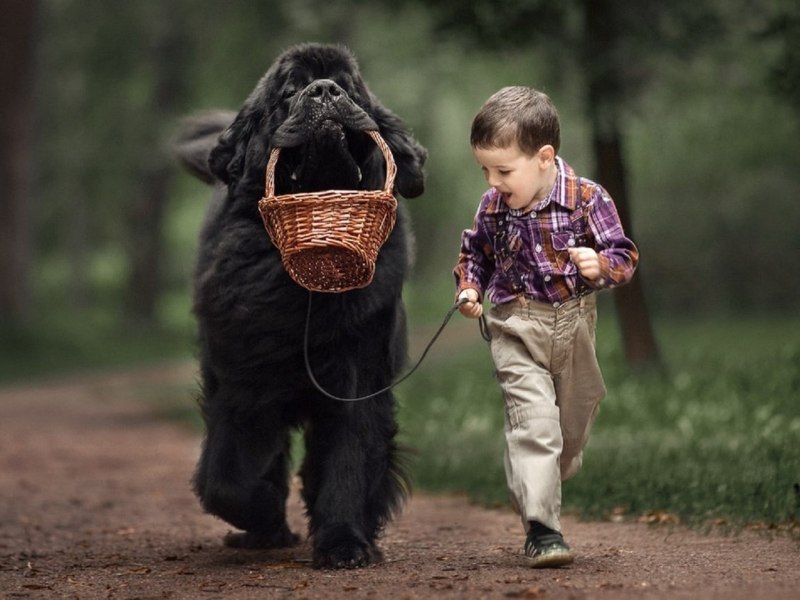 Для детей. Животные