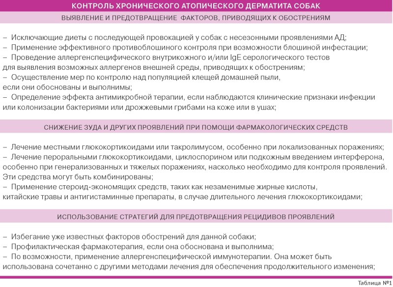 Кожные заболевания у кокер спаниелей