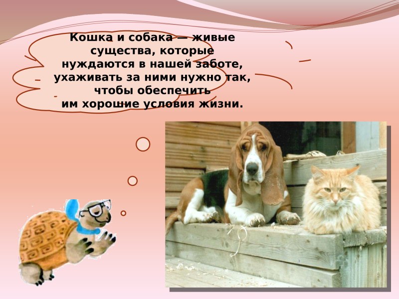 «Наши четвероногие друзья» собаки
