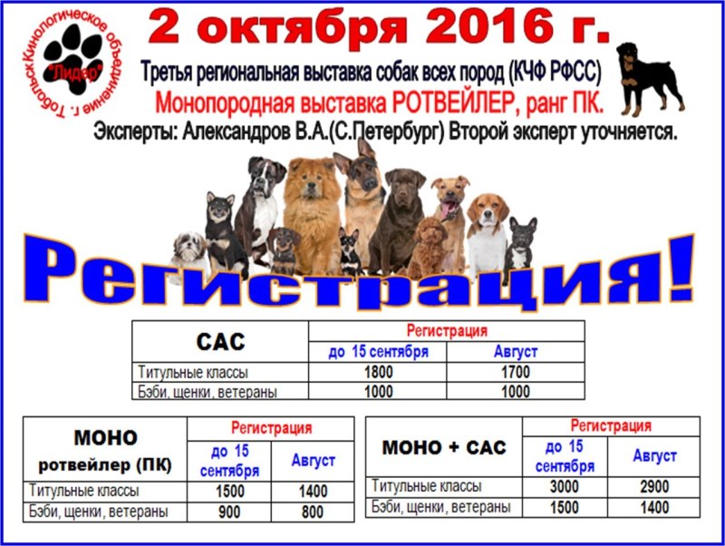 Классы собак на выставке по возрасту