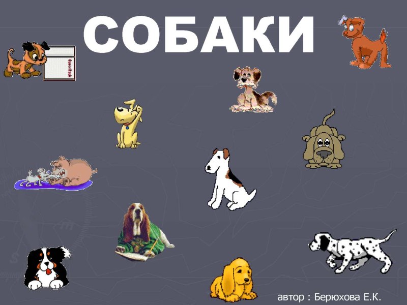 Презентация собаки