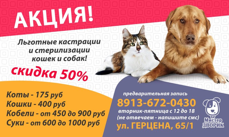 Стерилизуй бездомных животных