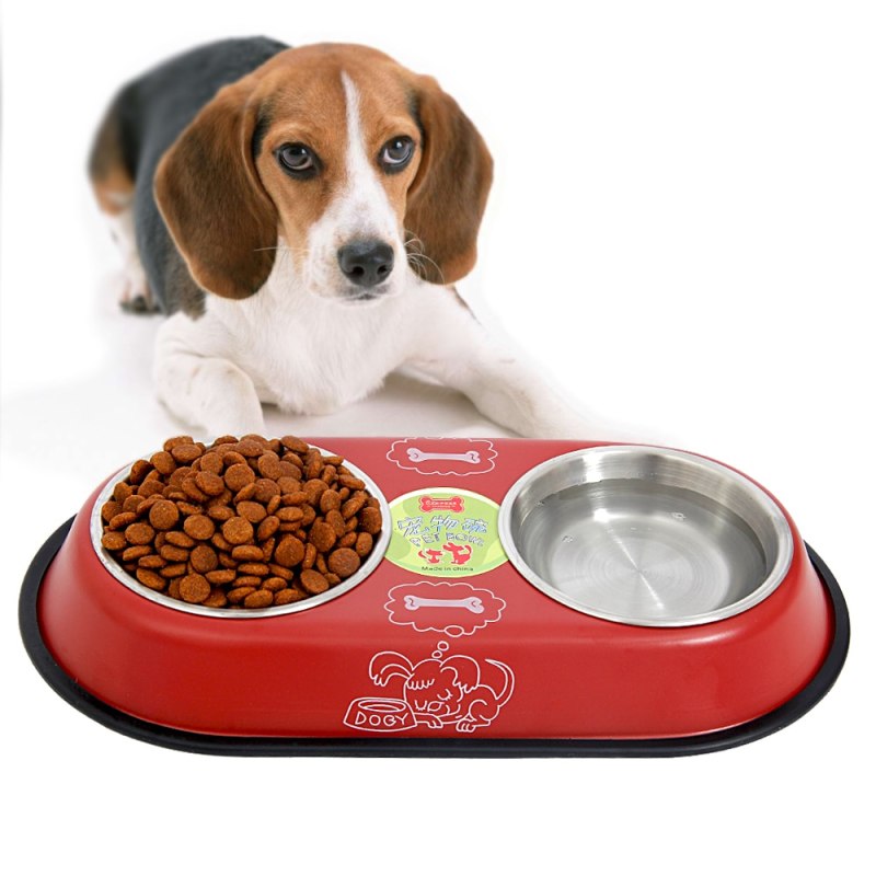 Daily Dog food