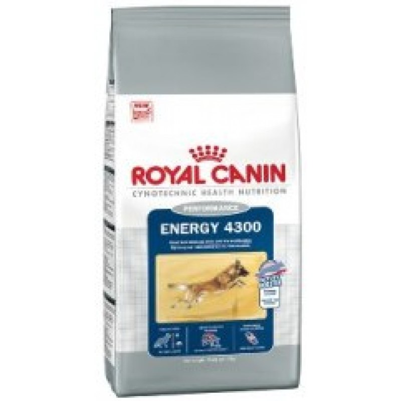 Royal Canin Mini Adult +8 4,0