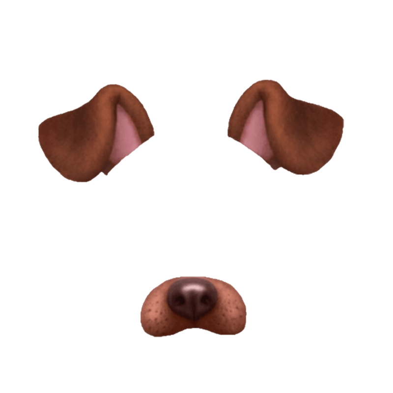Ободки с ушками животных