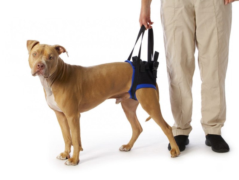 Вожжи на передние конечности Kruuse Walkabout harness