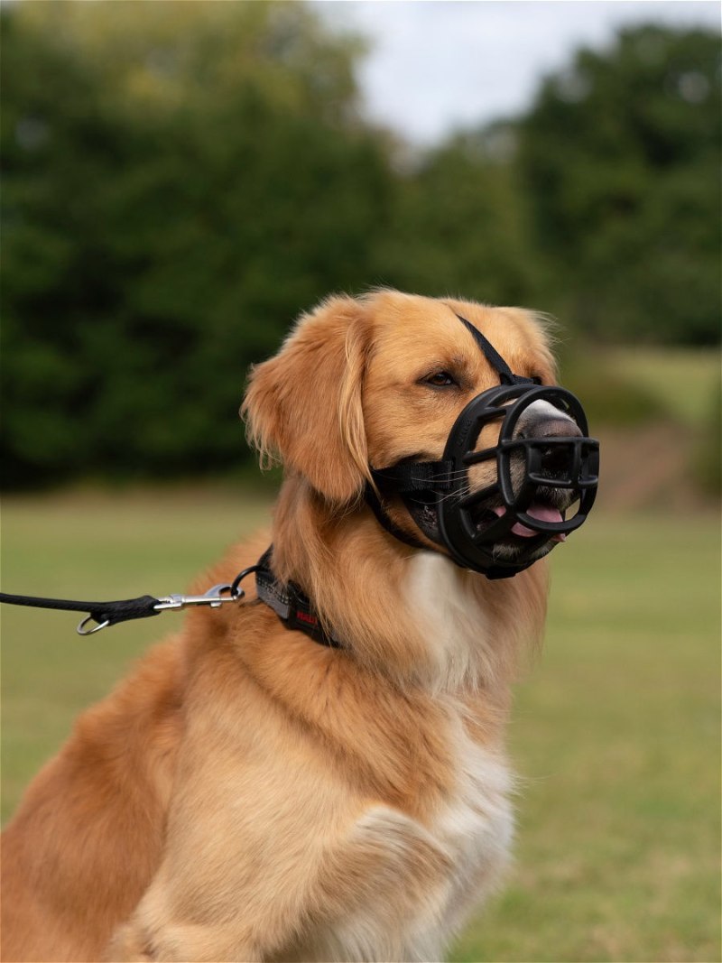 Намордник для собак Ferplast Muzzle net XL, обхват морды 17-35 см