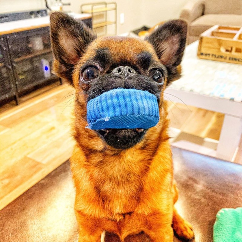 Намордник Trixie Muzzle Flex