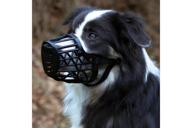Намордник Muzzle Flex силикон