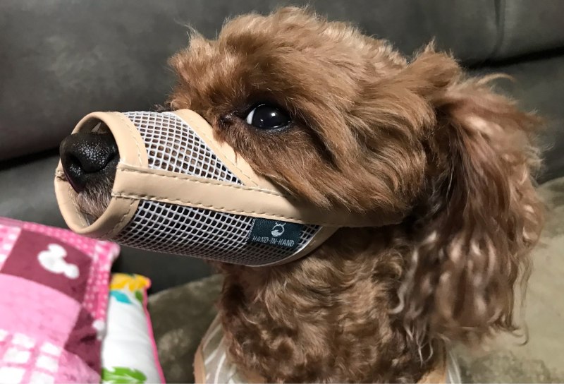 Намордник для собак Trixie "Muzzle Flex"