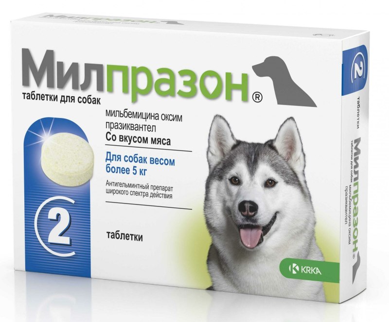 Витамины Canina Canhydrox gag Forte