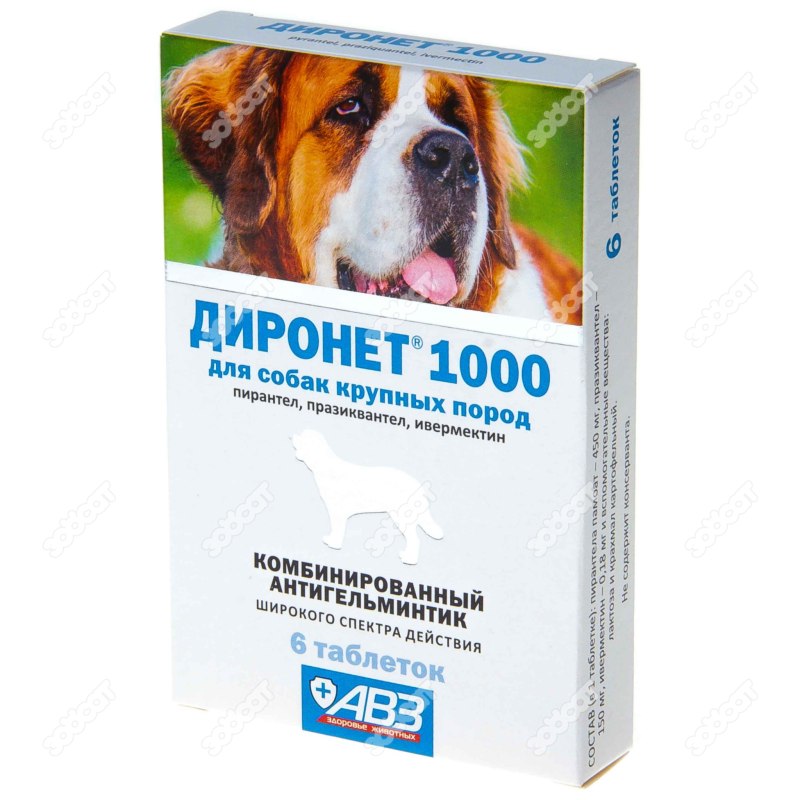 Защита собаки от паразитов