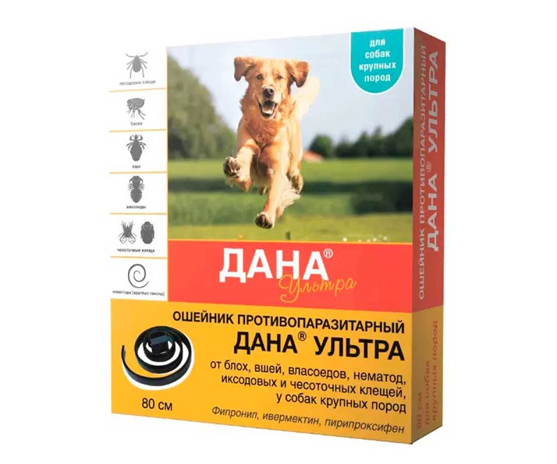 Хэппи дог Базис 20кг