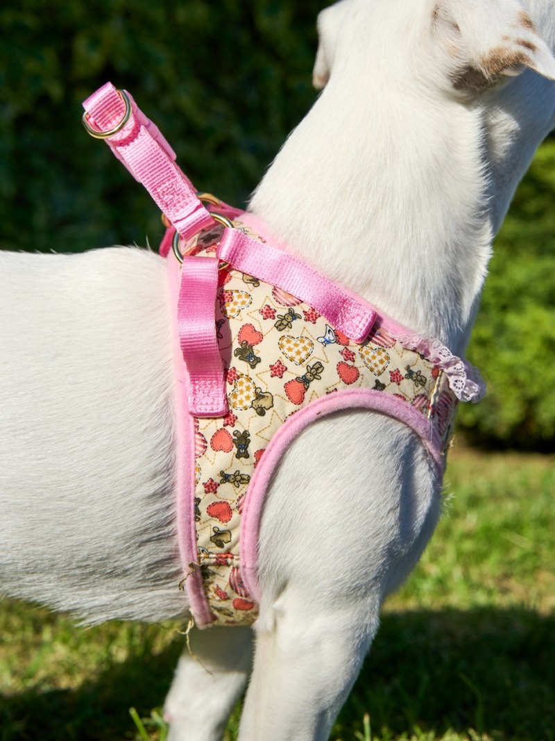 Шлейка Japan Premium Pet буржуа s