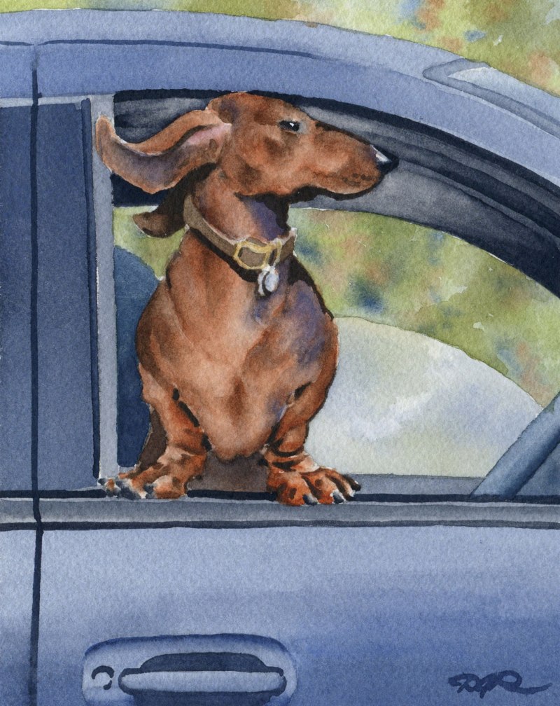 Arthur Thiele Dachshund таксы