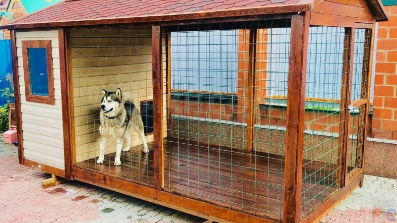 Дизайнерские вольеры для собак