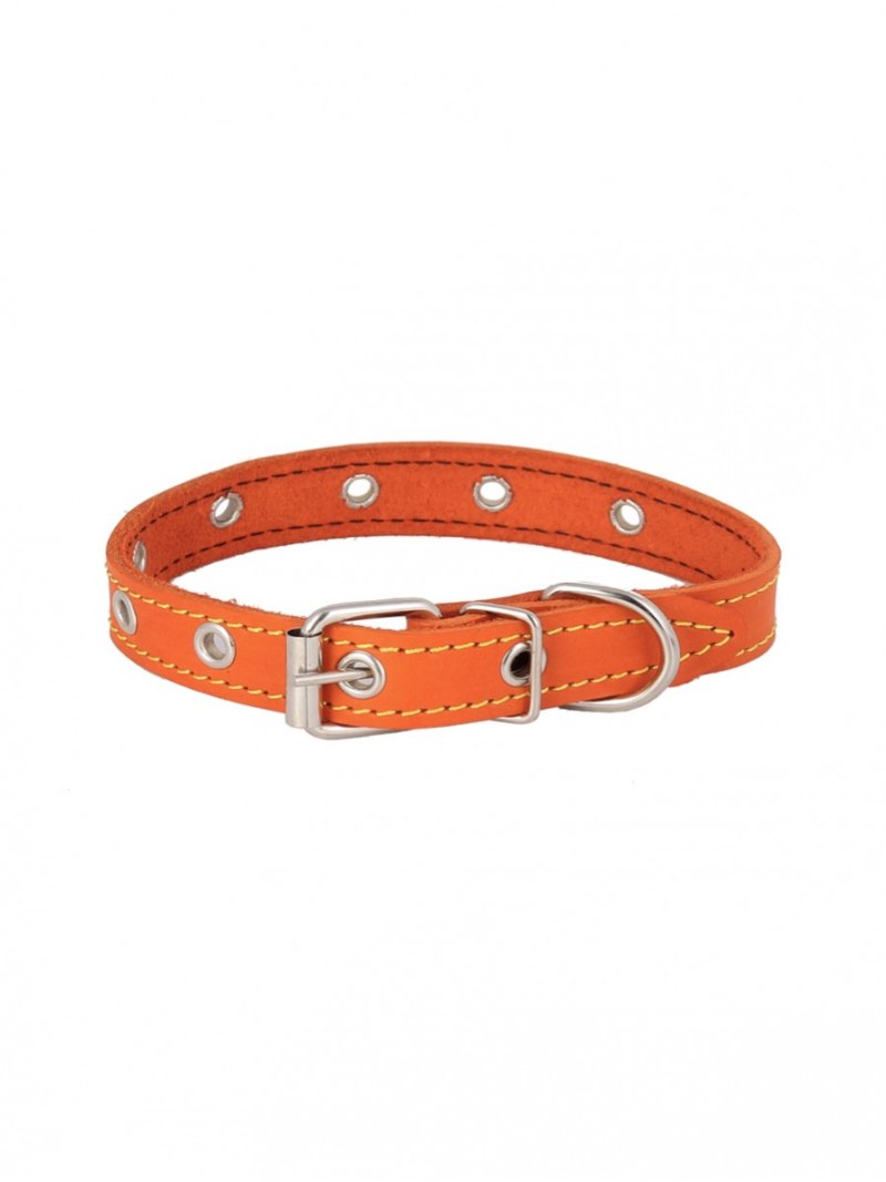 Ошейник Wau Dog Printed Leather 27-36 см