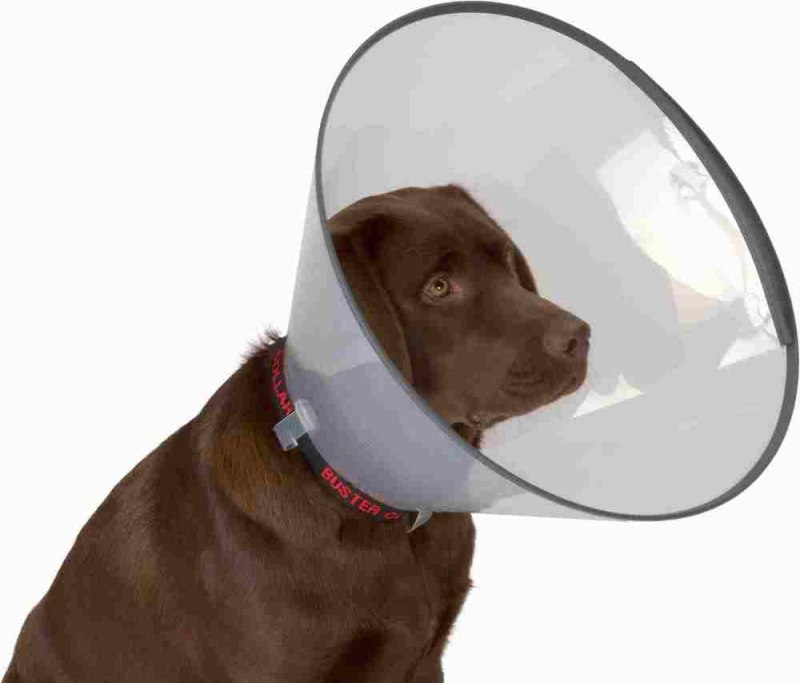 Защитный воротник Kruuse Buster Comfort Collar 10 см