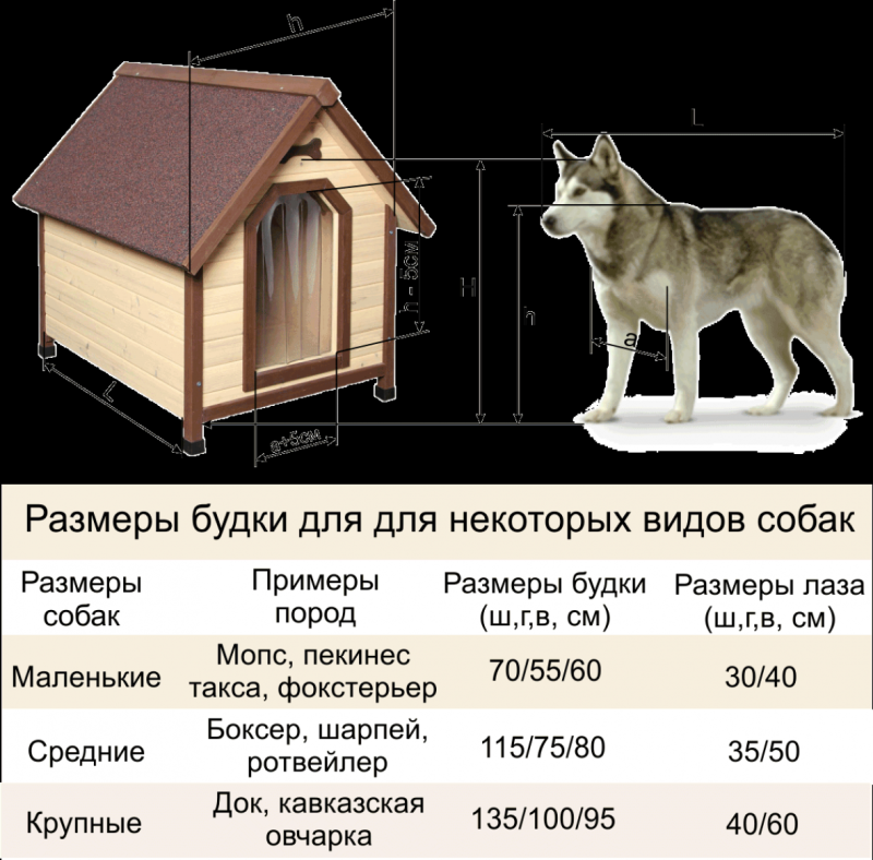 Размер будки для собаки овчарки немецкой. Конура для собаки чертеж с размерами для овчарки. Чертеж будки для алабая с размерами. Чертеж будки для собаки с размерами для немецкой овчарки. Будка конура для немецкой овчарки размер.