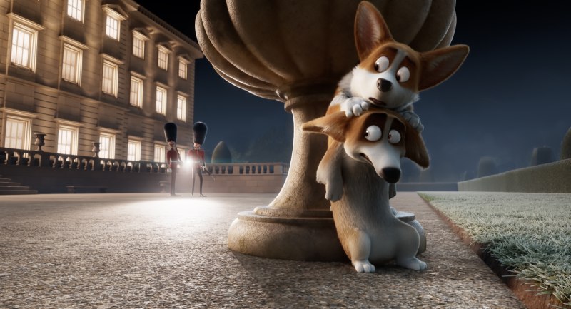 Королевский корги 2019