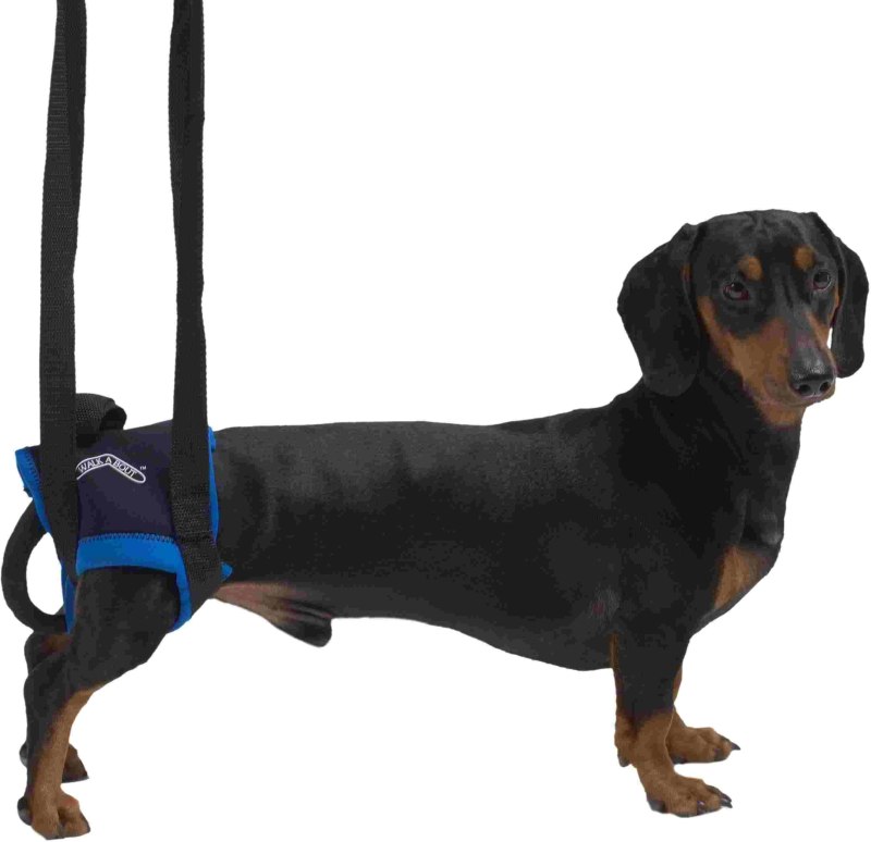 Вожжи для собак Kruuse Walkabout harness