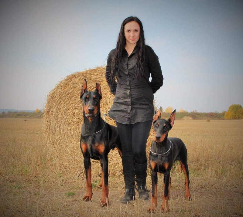 Дина Исаева с доберманом
