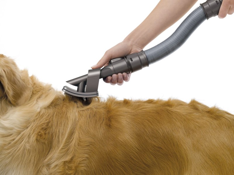 Dyson щетка для собак Groom