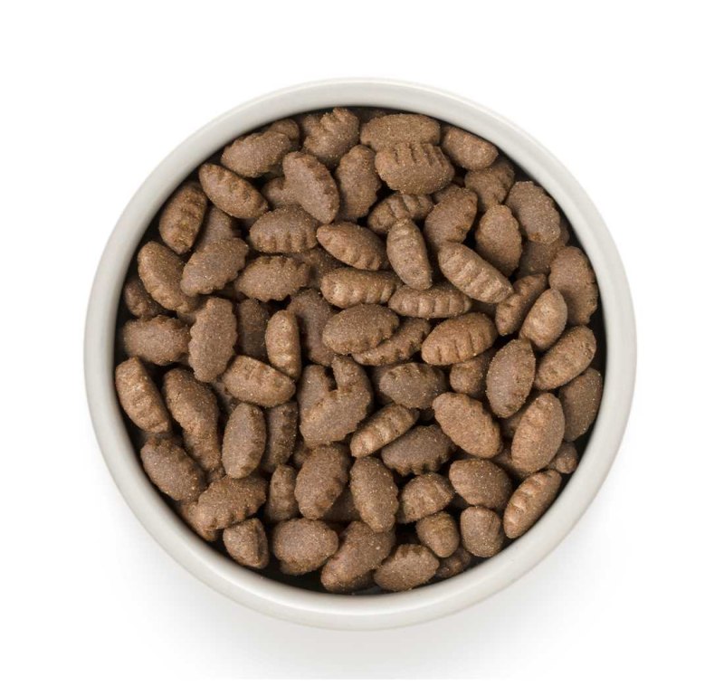 Grandorf 4 meat Brown Rice для кошек