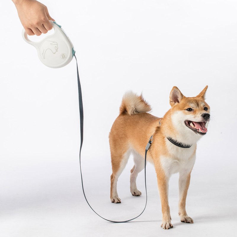 Поводок Collar Evolutor
