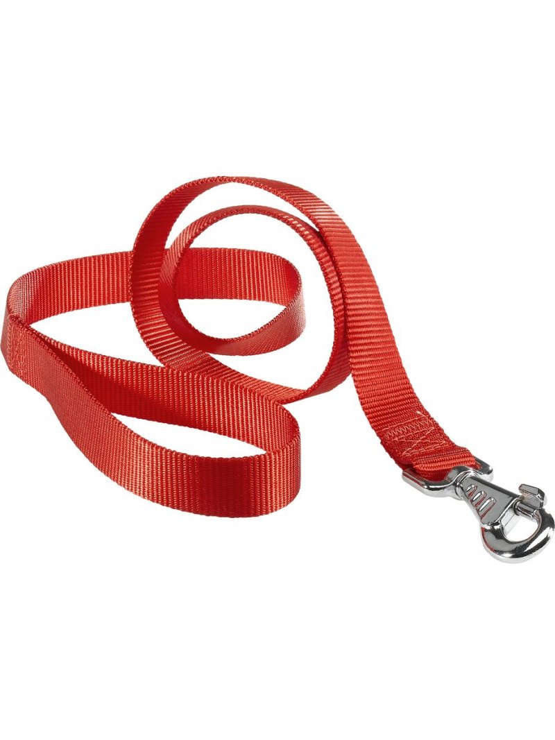 Flexi Рулетка New Comfort Cord m 5m 12kg Blue