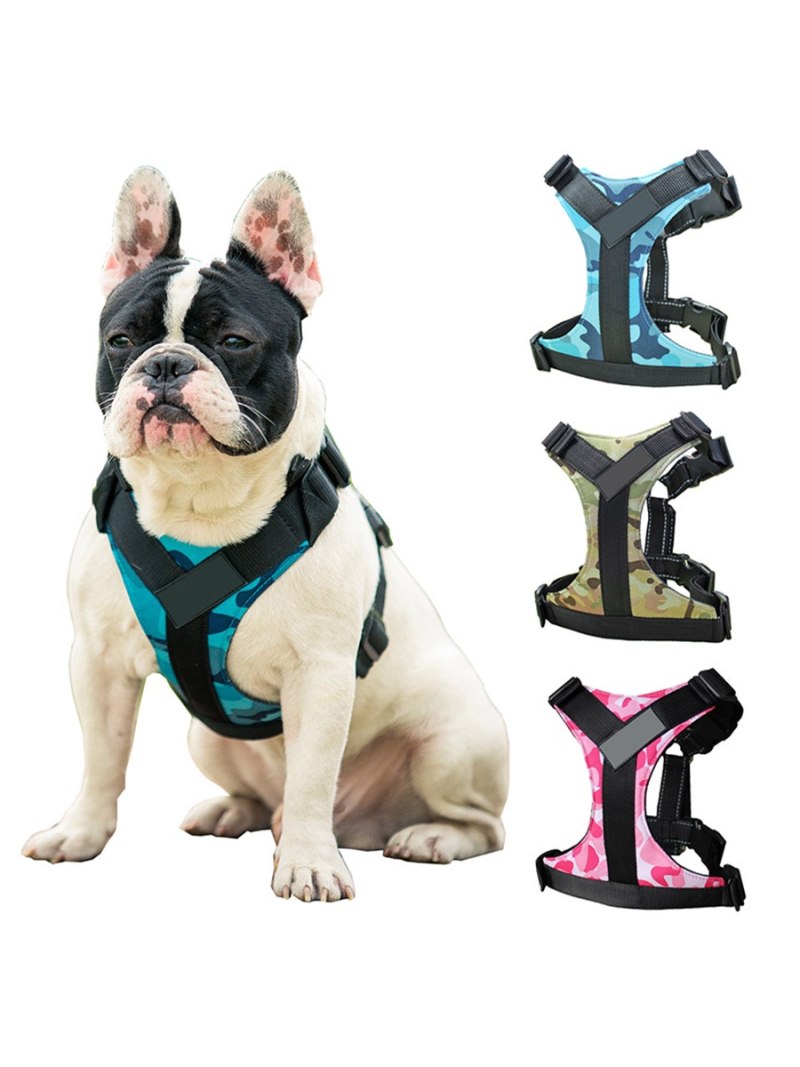 Шлейка для французского бульдога Frenchie