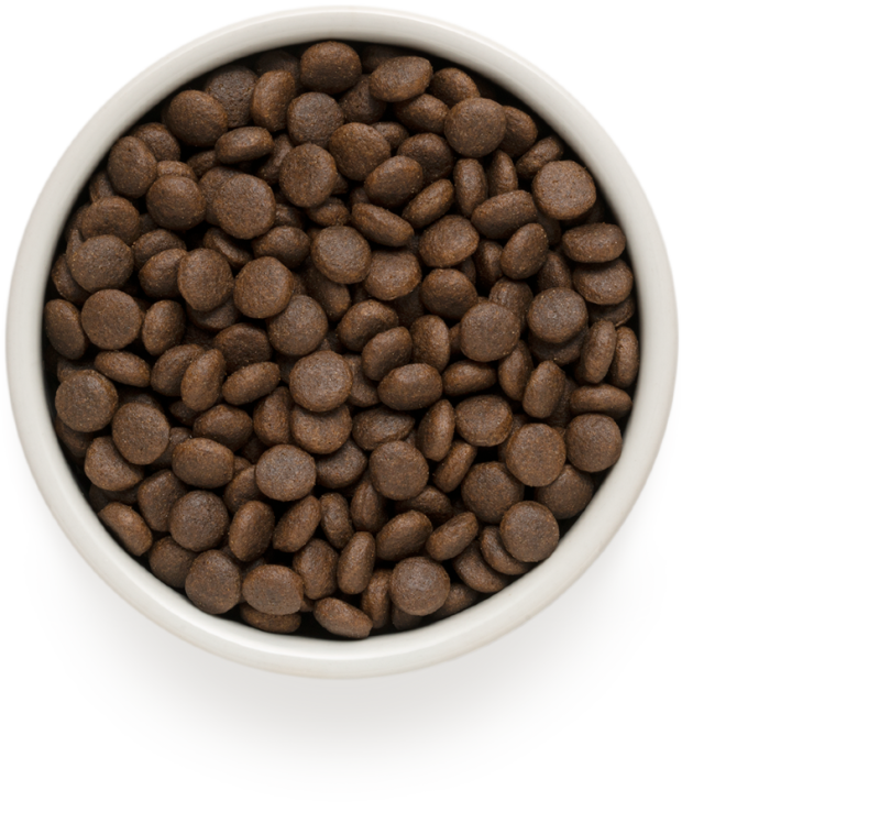 Grandorf 4 meat Brown Rice