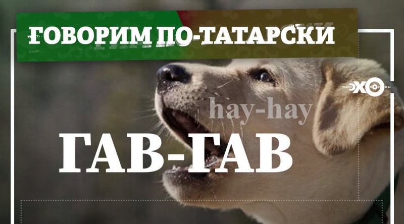 Говорим по татарски