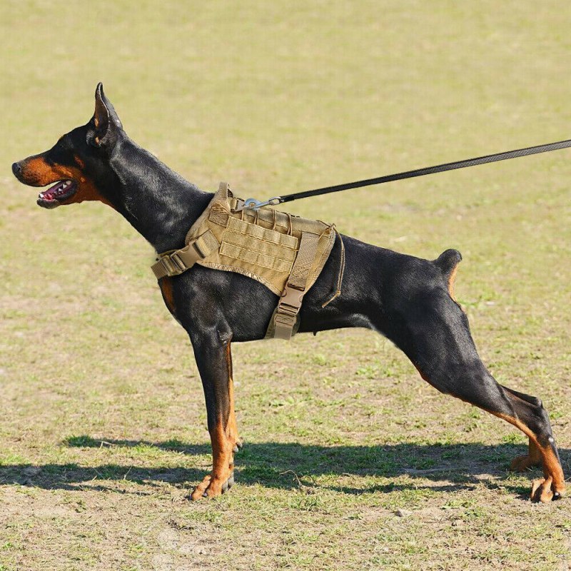 Шлейка Police k9