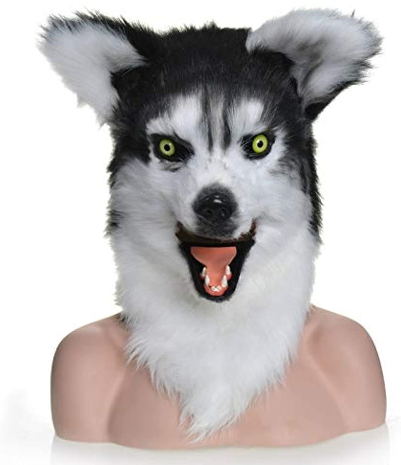 Хаски в костюме