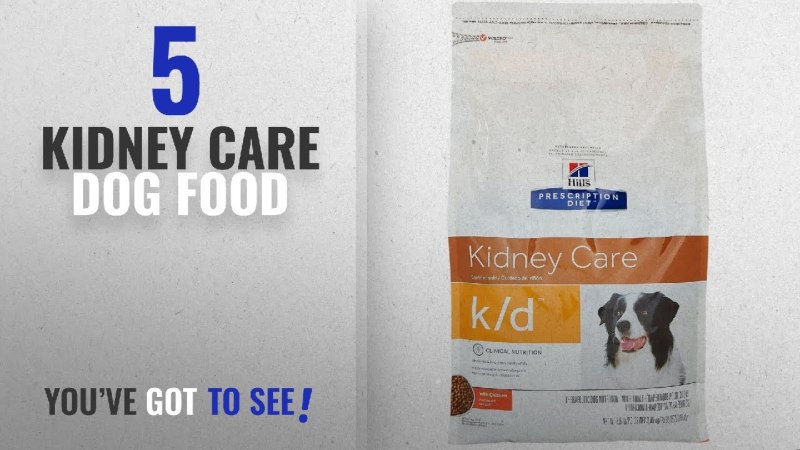 Professional Care of your Pets Health Hills Cat food