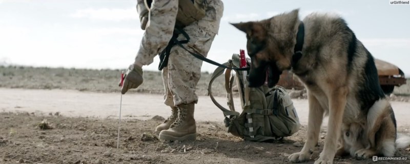 Меган Ливи Megan Leavey, 2017