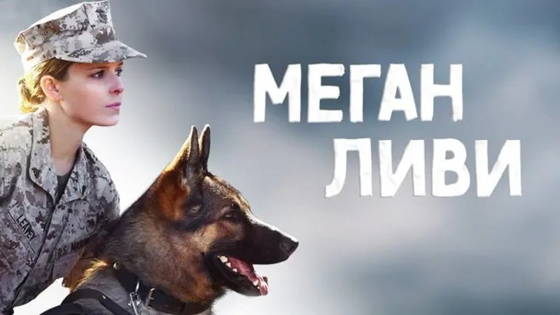 Меган Ливи обои